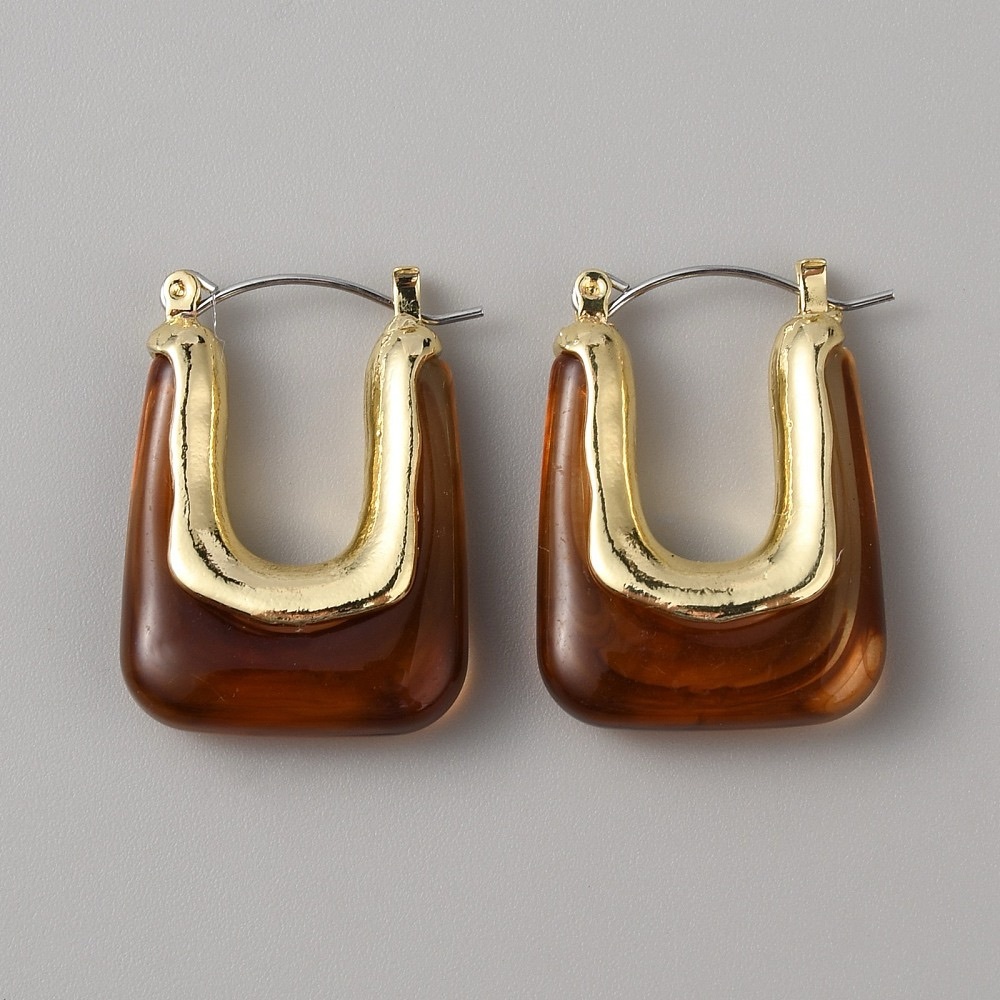 Gold and Brown Hoop Earrings